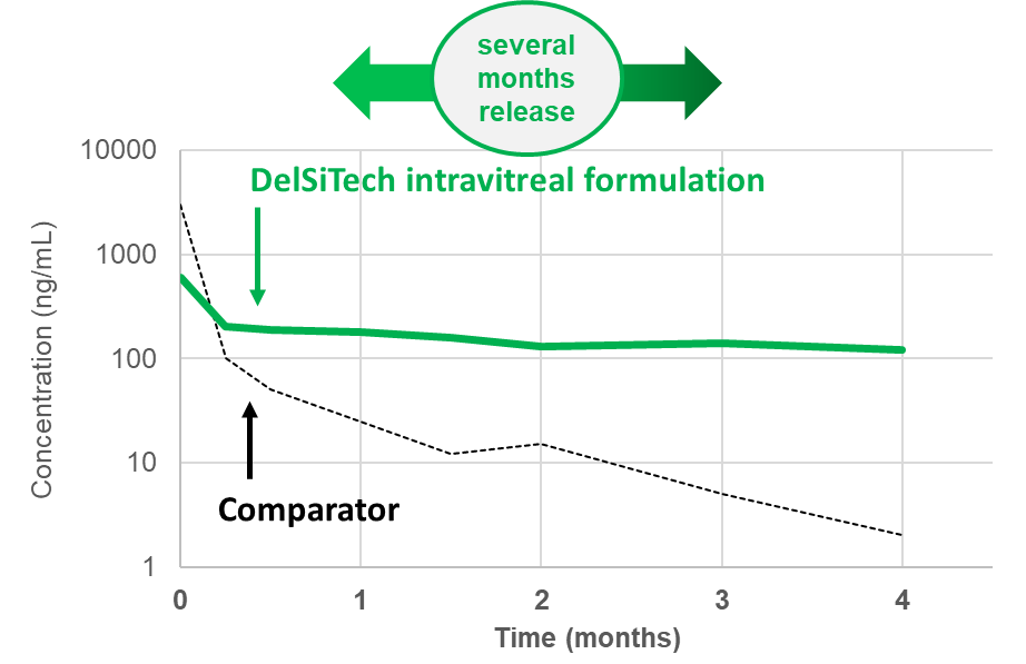 Intravitreal Drug Delivery